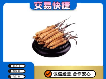 衡阳高价回收冬虫夏草多少钱每克